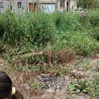 زمین ۸۵متری|فروش زمین و ملک کلنگی|رشت, عینک|دیوار