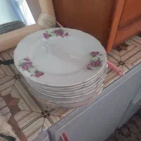 ظروف گل صورتی
