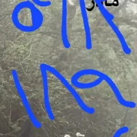 خط کد ۰۹۱۲۱۸۹۱۶۷۵