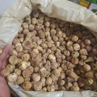 انجیر