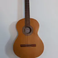 گیتار پارسیp80