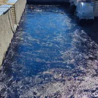 با خریدلایه خام ،ایزوگام بهتر خرید کنید،نصب با ما|خدمات پیشه و مهارت|قوچان, |دیوار