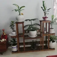 استند گل