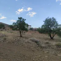 باغ|فروش زمین و ملک کلنگی|ساوه, |دیوار