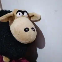 عروسک|اسباب‌بازی بچه|کرمانشاه, |دیوار