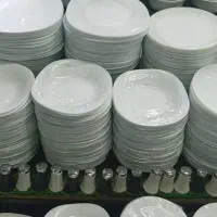 بشقاب پلو فله دونه ای ۵۰ تومن سرویس ارکوپال|ظروف سرو و پذیرایی|تهران, بوستان بعثت (باغ آذری)|دیوار