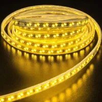 چراغ الدی شلنگی