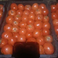 گوجه درجه یک