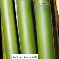 نی بامبو ، چوب|گل مصنوعی|چهاردانگه (تهران), |دیوار