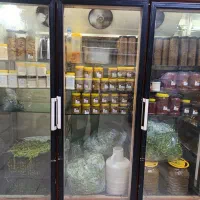 دوعدد فریزر و یک هدد یخچال سه در