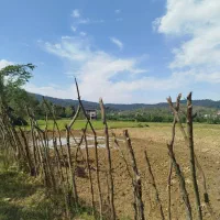 زمین شفت روستا بیجار سر|فروش زمین و ملک کلنگی|رشت, سلیمانداراب|دیوار