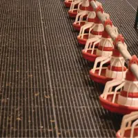 پالت /سبک‌ و‌ بادوام|عمده‌فروشی|تهران, تهرانپارس جنوبی|دیوار