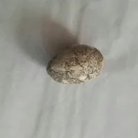 یه انگشتر تیربندی خون بندی اصل اصل