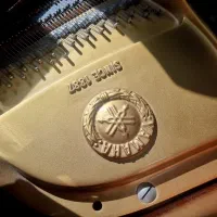 پیانوی گرند یاماها (Yamaha C5B)|پیانو، کیبورد، آکاردئون|یزد, |دیوار