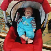 سرویس کالسکه پیرگاردین