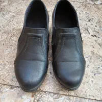 کفش پاشنه بلند|کیف، کفش، کمربند|قم, انسجام|دیوار