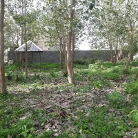 فروش-زمین-مسکونی