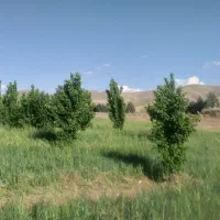 فروش ۵۰۰۰ متری