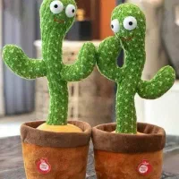 کاکتوس سخنگو|اسباب‌‌بازی|اندیمشک, |دیوار