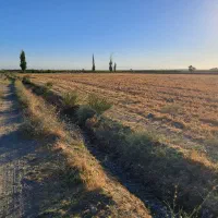 زمین زراعی آبی|فروش دفتر صنعتی، کشاورزی، تجاری|بشاریات, |دیوار