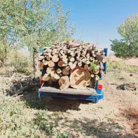 خریداره چوب همه نوع همه جا|خدمات باغبانی و درختکاری|قره چای, |دیوار