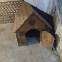 خونه پت