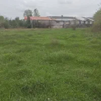 فروش-زمین-باغی