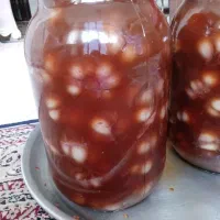 سیرترشی خانگی