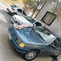 405دلفینی