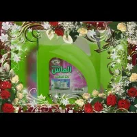 به قیمت درب کارخانه وتضمینی|مواد شوینده و دستمال کاغذی|نیشابور, فردوسی جنوبی|دیوار