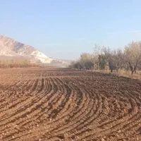 159هکتار-زمین-کشاورزی-12-اینچ-اب-چاه-شخصی