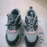 کتونی|کیف، کفش، کمربند|رشت, رودبارتان|دیوار