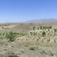 زمین کشاورزی