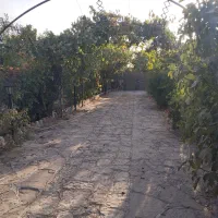 باغ ویلا(لوکشن)