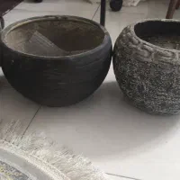 گلدان|گل و گیاه طبیعی|تهران, آهنگران (سراسیاب دولاب)|دیوار