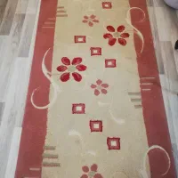 پادری