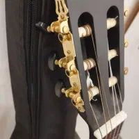 گیتار کلاسیک پارسی|گیتار، بیس، امپلیفایر|آبادان, |دیوار