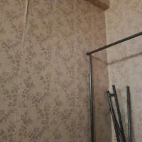 رگال دوعدد صحیح سالم