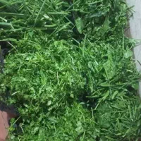 سبزی خورشتی و ماهی خوزستان  رامهرمز