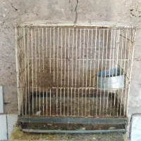 قفس ترقه و قناری|لوازم جانبی حیوانات|شیراز, حجت آباد|دیوار