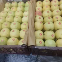 سیب درجه یک