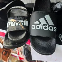 انواع دمپایی|کیف، کفش، کمربند|بوشهر, |دیوار