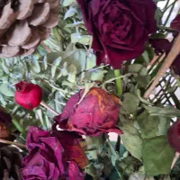 خیابان-اذر-همکف-50-متری-حیاط-سرسبز-30-متری-یک-خواب