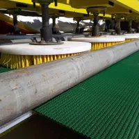 قالیشویی * کهکشان* سیدی رستمی مصلی طلاب