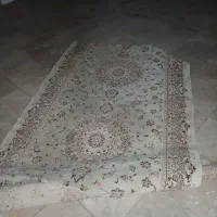 فرش|فرش|ایرانشهر, |دیوار