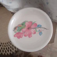 بشقاب خورشتی ۶عددسینی وتنگ|ظروف سرو و پذیرایی|کازرون, |دیوار