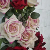 ۱۴ شاخه گل رز|گل مصنوعی|میانه, |دیوار