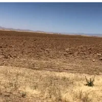 اجاره ۱۰۲ هکتار زمین کشاورزی جهت دیم|اجارهٔ دفتر صنعتی، کشاورزی، تجاری|فامنین, |دیوار