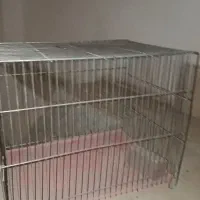 قفس