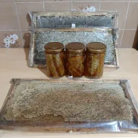 عسل آویشن طبیعی بالا طالقان|خوردنی و آشامیدنی|هشتگرد, شهرک ولیعصر (مصلی)|دیوار